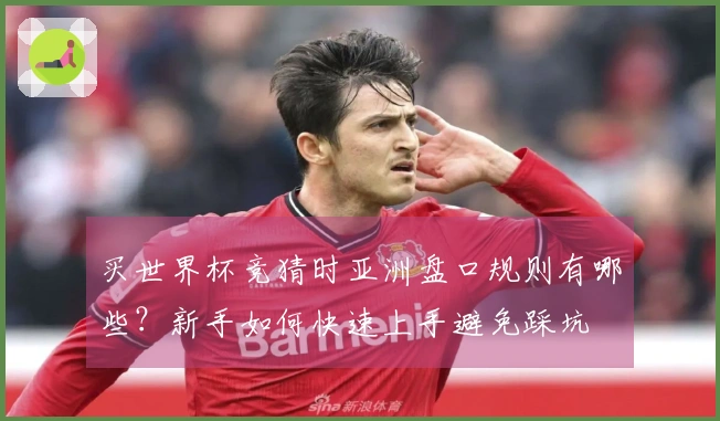 买世界杯竞猜时亚洲盘口规则有哪些？新手如何快速上手避免踩坑
