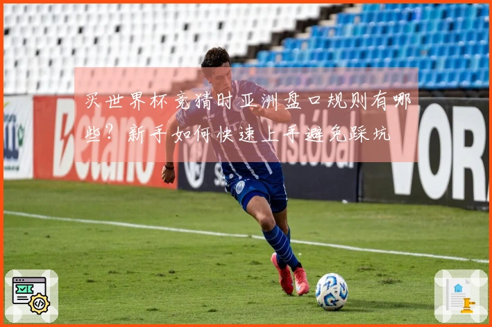 买世界杯竞猜时亚洲盘口规则有哪些？新手如何快速上手避免踩坑