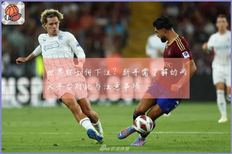 世界杯如何下注？新手需了解的两大平台对比与注意事项